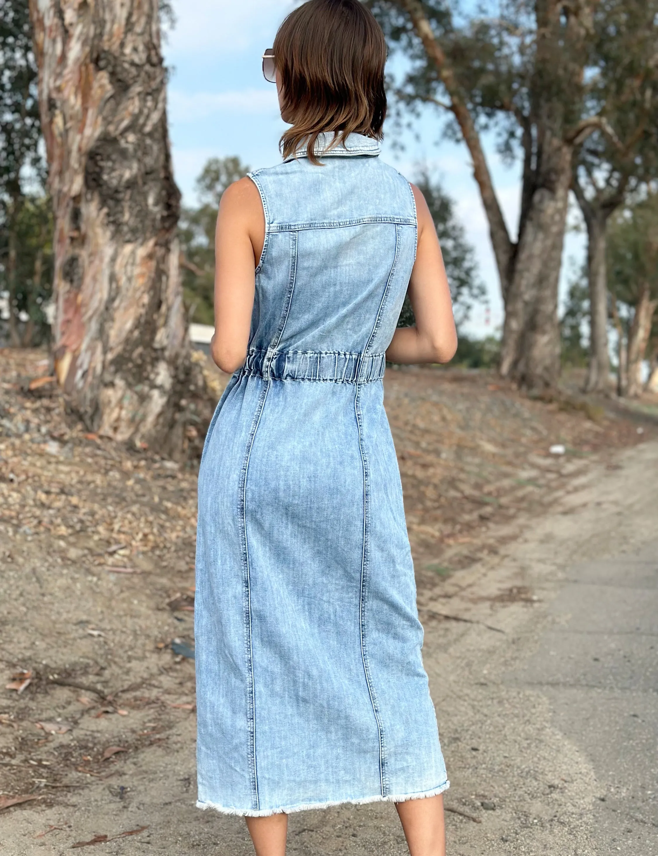 Alice Denim Dress